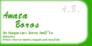 amata boros business card